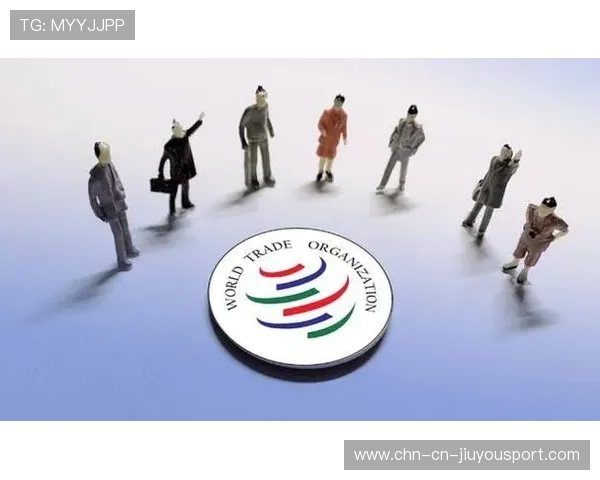 中国强调：WTO改革应照顾发展中利益，wto改革的必要性和改革方向